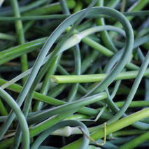 Garlic Scapes and Compost: Our Zero-Waste Strategies at Dragonfly Hill Farm 1