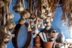 Read more about the article The best garlic types for your Zone 6 garden